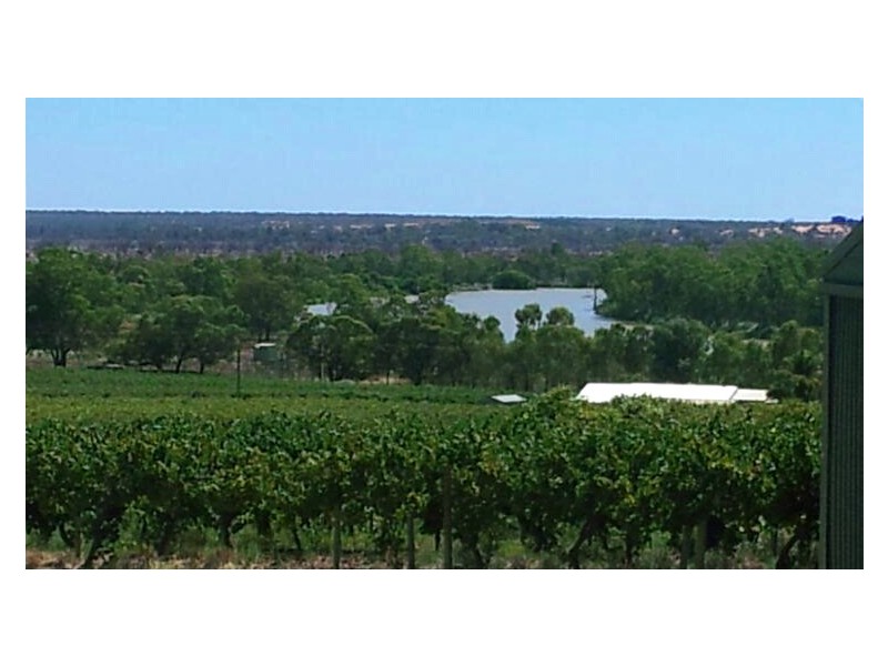 Lot 1 Farley Road, Kingston On Murray SA 5331