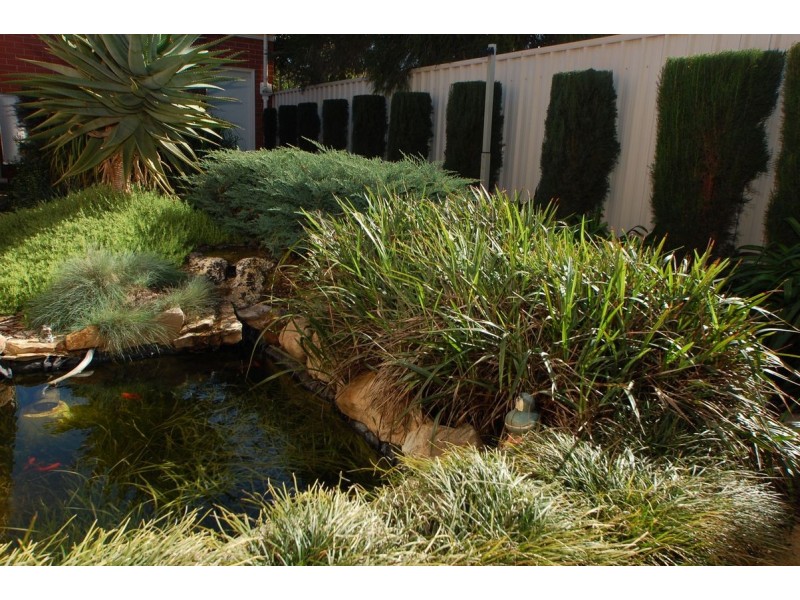 99 B Railway Terrace, Ascot Park SA 5043