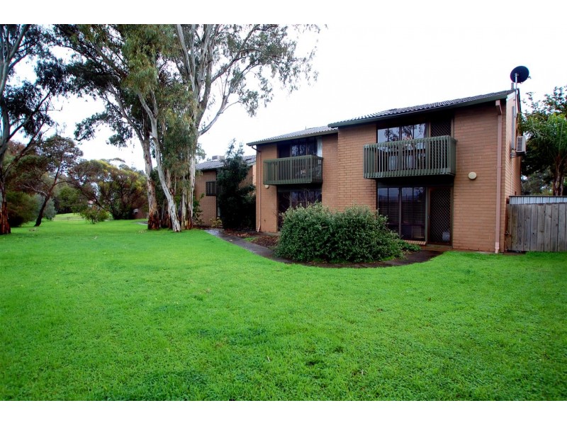 13-18 Windsor Avenue, Clovelly Park SA 5042