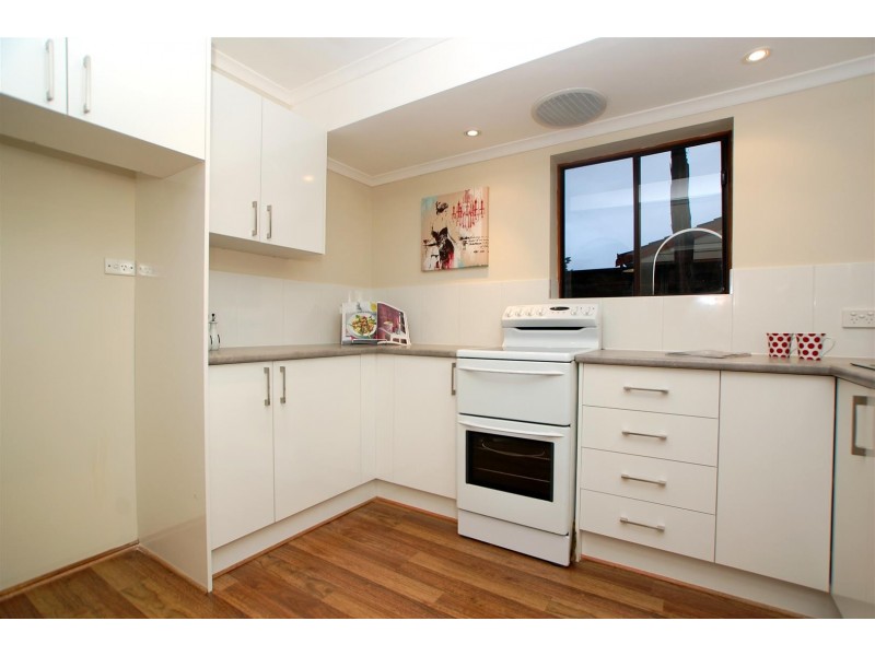 13-18 Windsor Avenue, Clovelly Park SA 5042