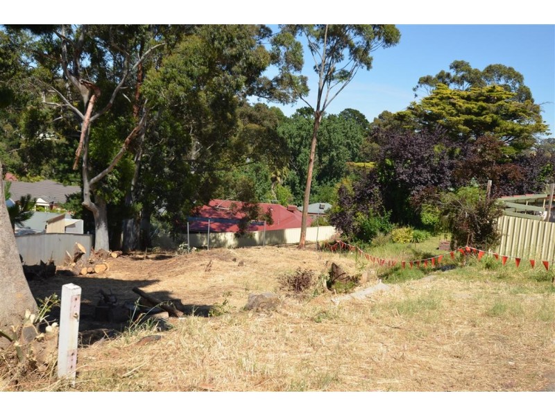 438 Main Road, Coromandel Valley SA 5051