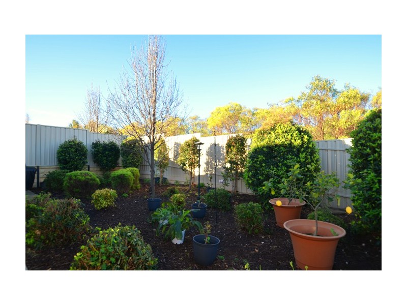 10 Tintara Walk, Noarlunga Downs SA 5168