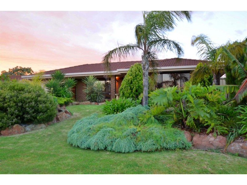 7 Harding Court, Morphett Vale SA 5162