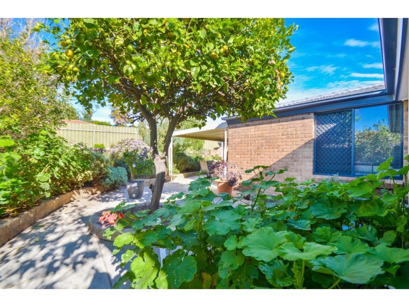 58 Zwerner Drive, Hallett Cove SA 5158