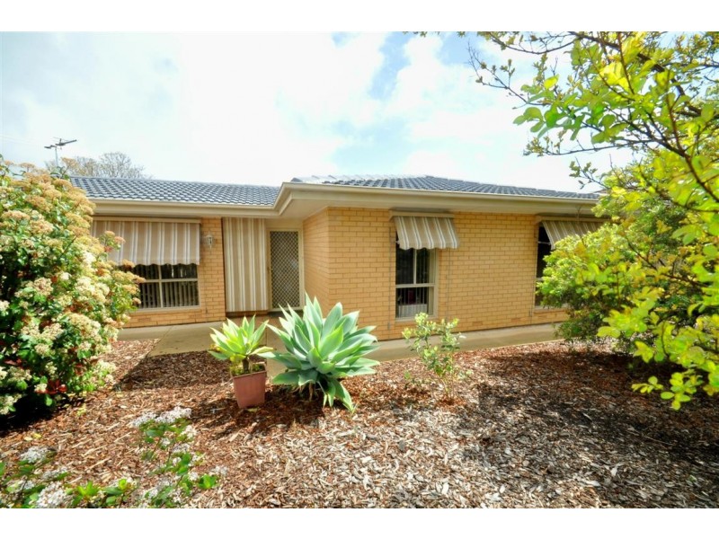 13 Grazing Avenue, Morphett Vale SA 5162