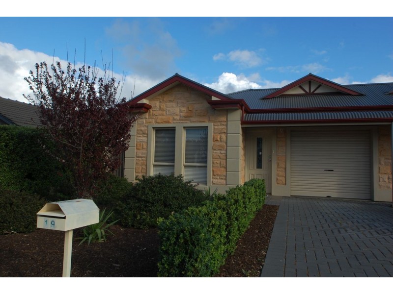 19 Condada Avenue, Park Holme SA 5043