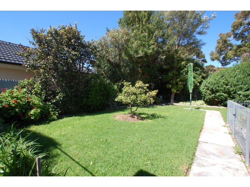 42 Norfolk Road, Marion SA 5043