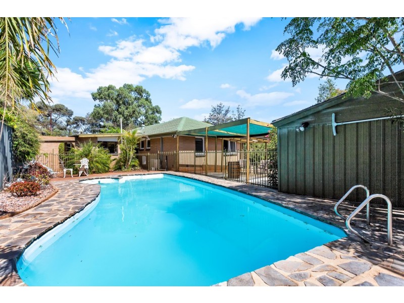 14 Alban Street, Christie Downs SA 5164