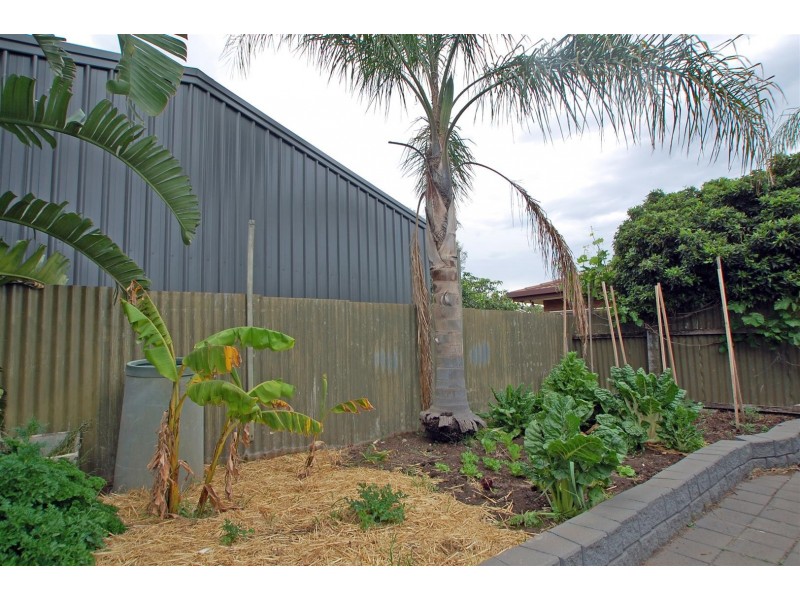 11 Baroona Crescent, Reynella SA 5161