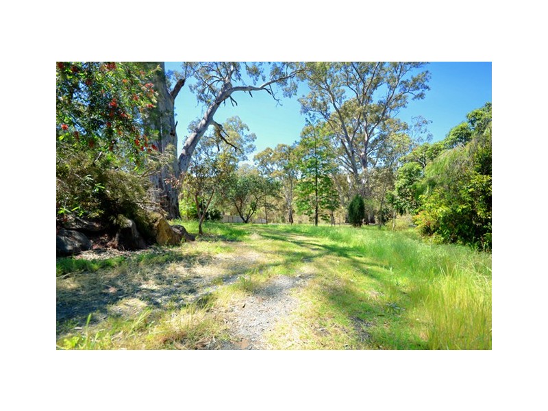496A Main Road, Coromandel Valley SA 5051