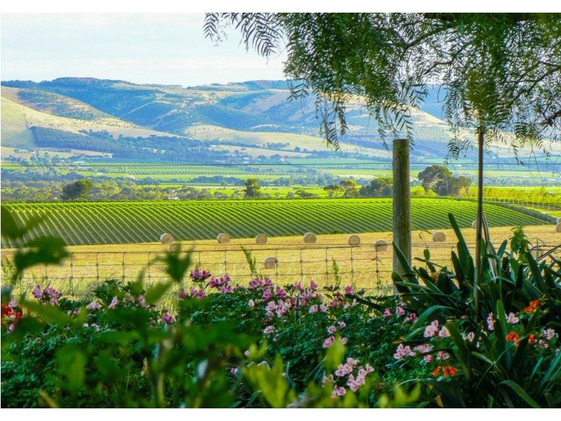 8 Nakour Tarn, Tatachilla SA 5171