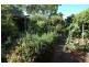 51 Angus Avenue, Edwardstown SA 5039