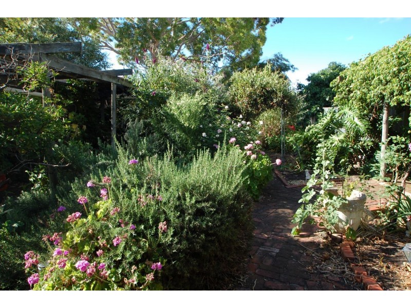 51 Angus Avenue, Edwardstown SA 5039