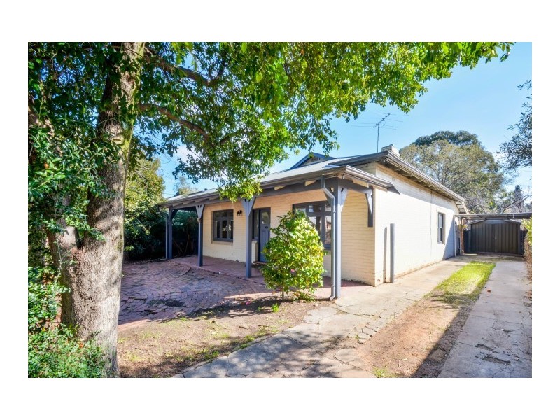 13 Lindfield Avenue, Edwardstown SA 5039
