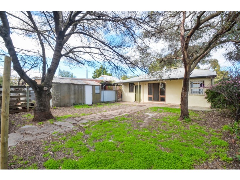13 Lindfield Avenue, Edwardstown SA 5039