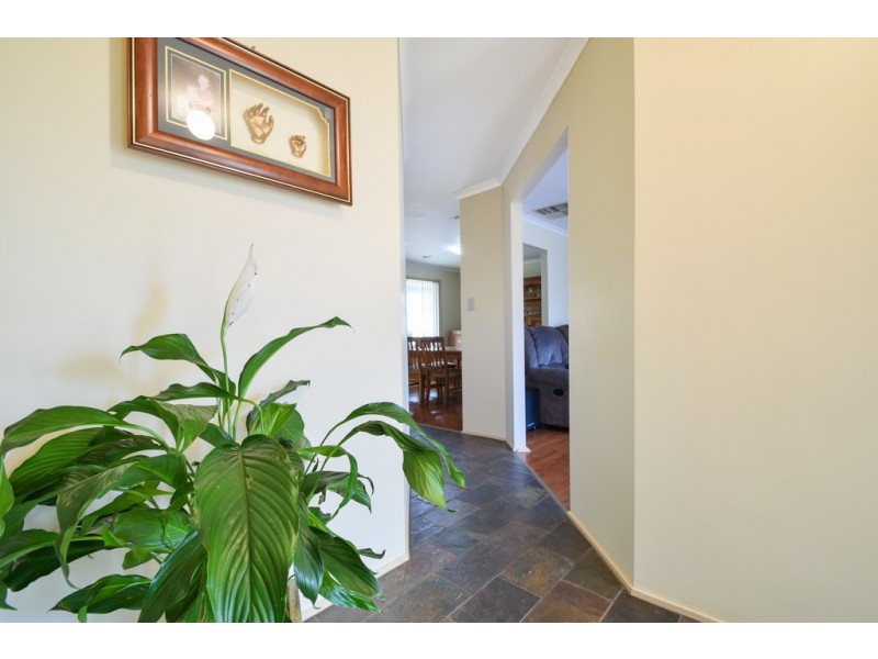 12 Fisher Avenue, Trott Park SA 5158