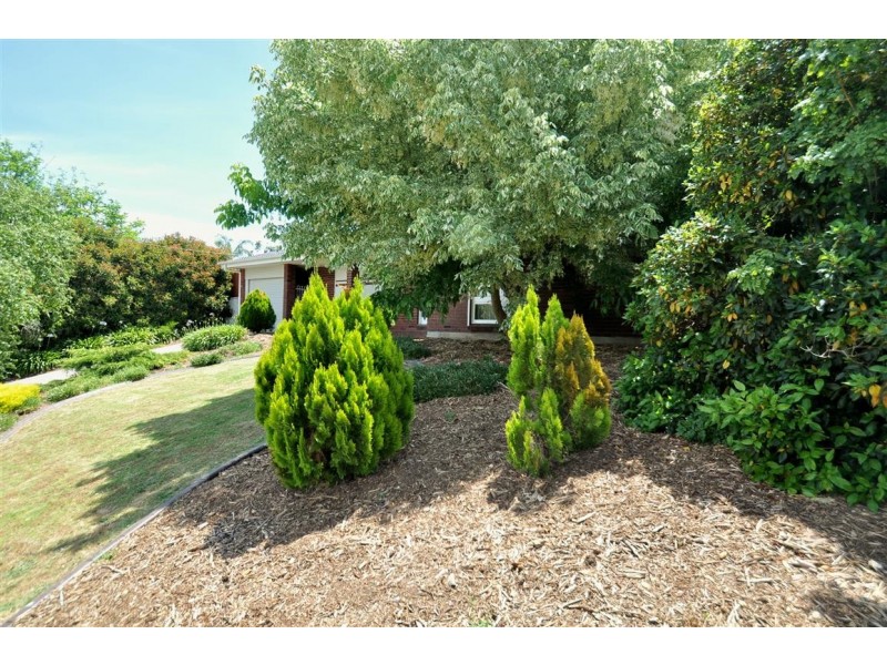 10 St Helena Street, Flagstaff Hill SA 5159