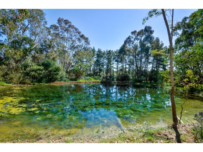 130 Moritz Road, Blewitt Springs SA 5171