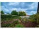 16 Riddoch Crescent, Woodcroft SA 5162