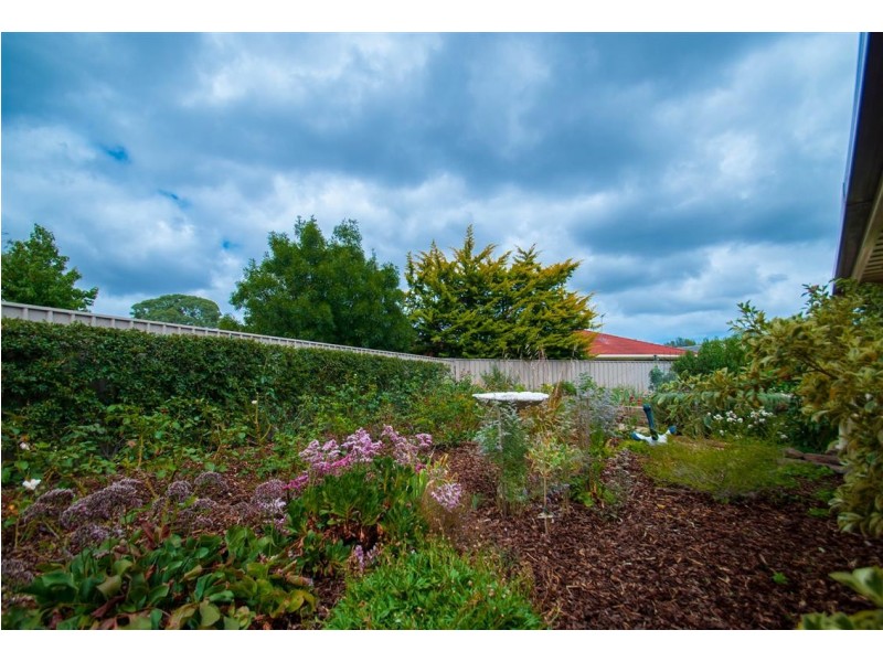 16 Riddoch Crescent, Woodcroft SA 5162
