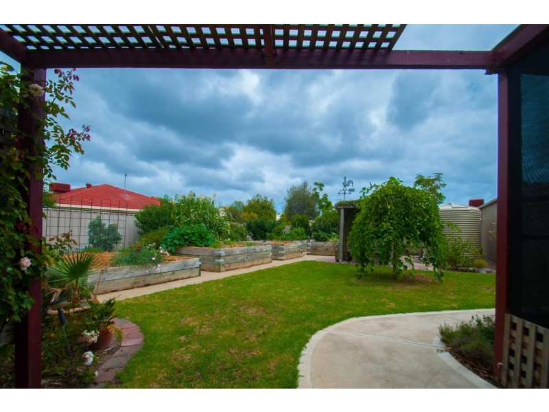 16 Riddoch Crescent, Woodcroft SA 5162