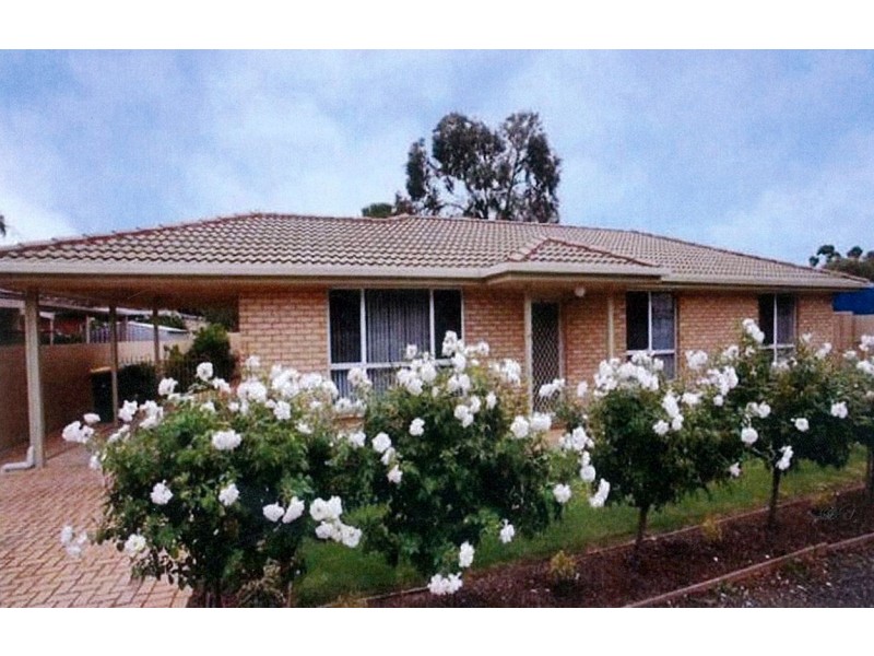 1A Tait Avenue, Marion SA 5043