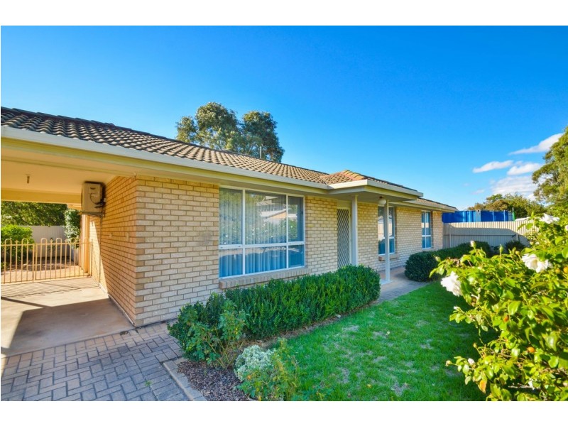 1A Tait Avenue, Marion SA 5043