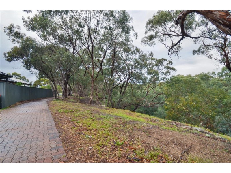 17 Greenbriar Ave, Happy Valley SA 5159