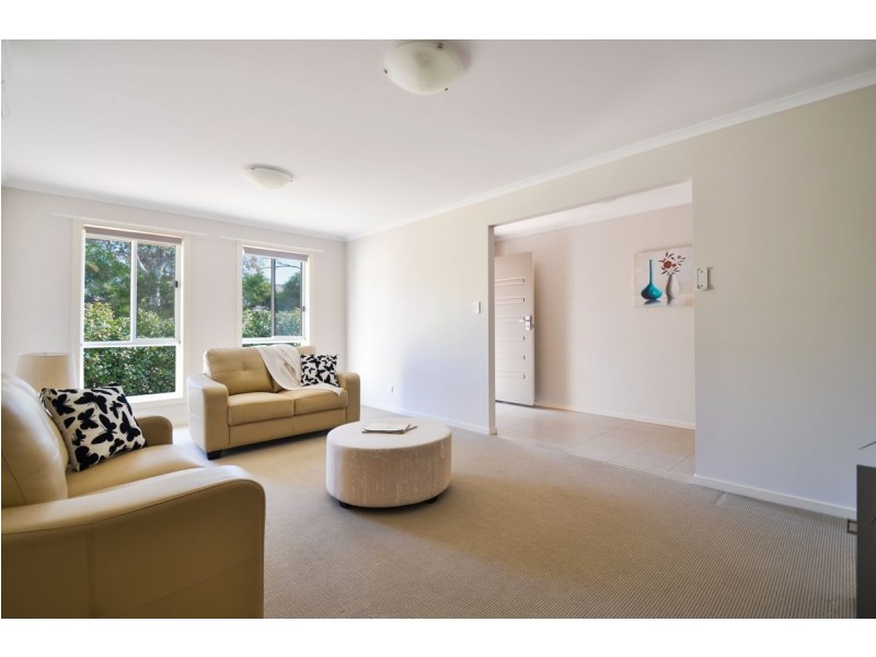 22 Hamley Street, Morphettville SA 5043