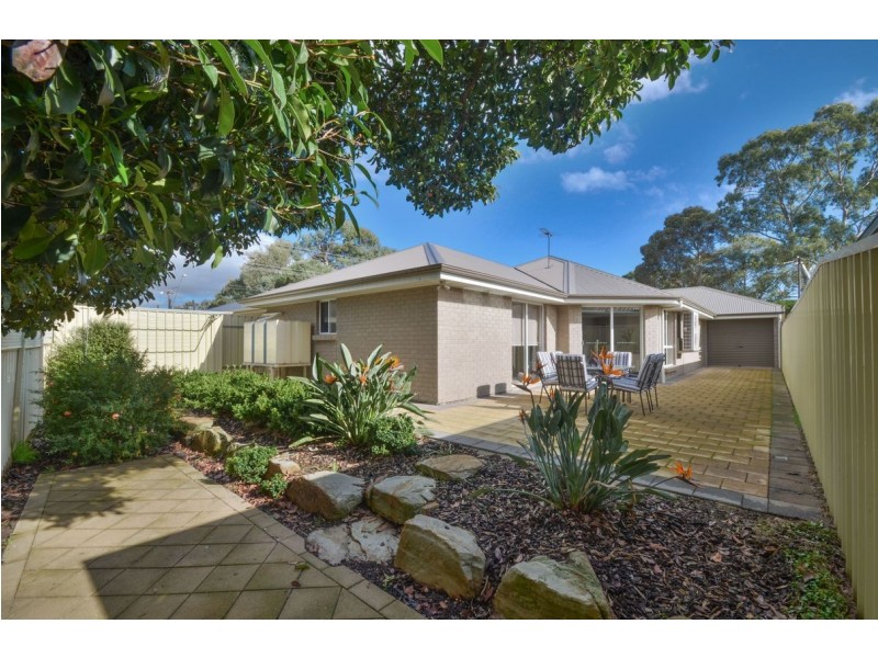 22 Hamley Street, Morphettville SA 5043
