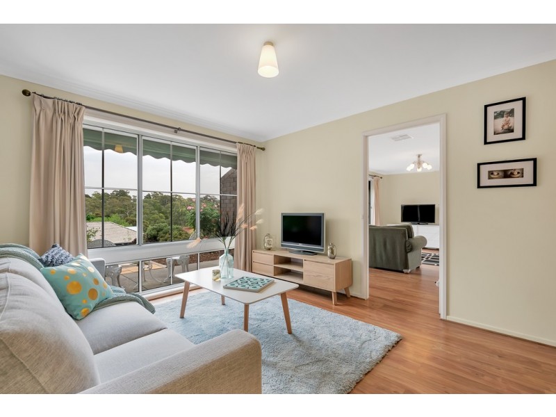 19 Banksia Road, Aberfoyle Park SA 5159