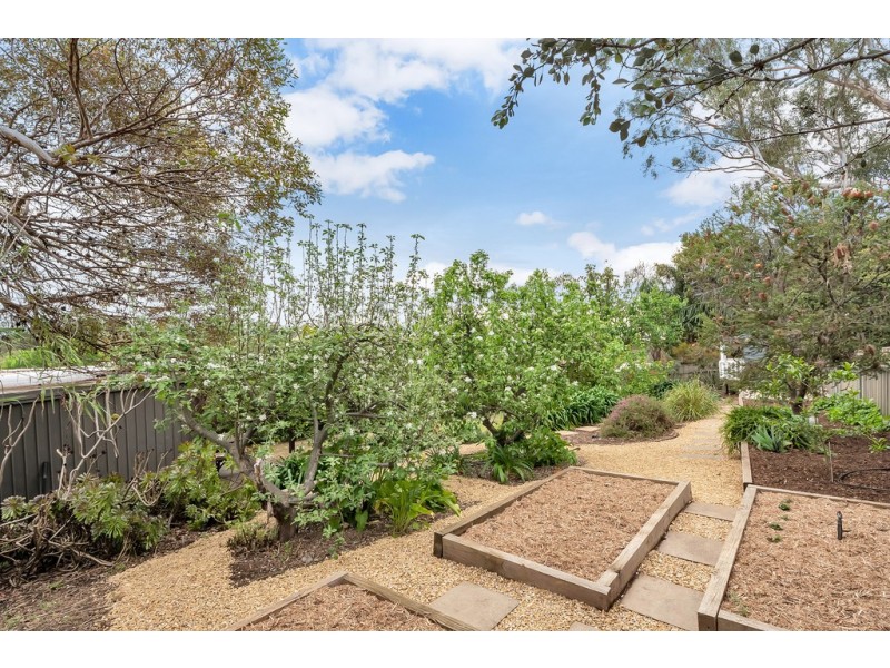 19 Banksia Road, Aberfoyle Park SA 5159