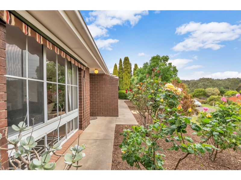 19 Banksia Road, Aberfoyle Park SA 5159