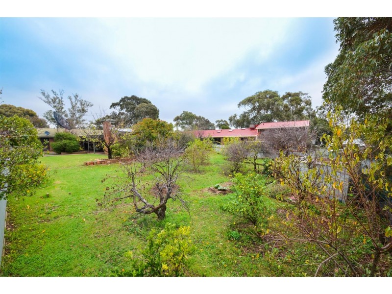 7 Oakridge Road, Aberfoyle Park SA 5159