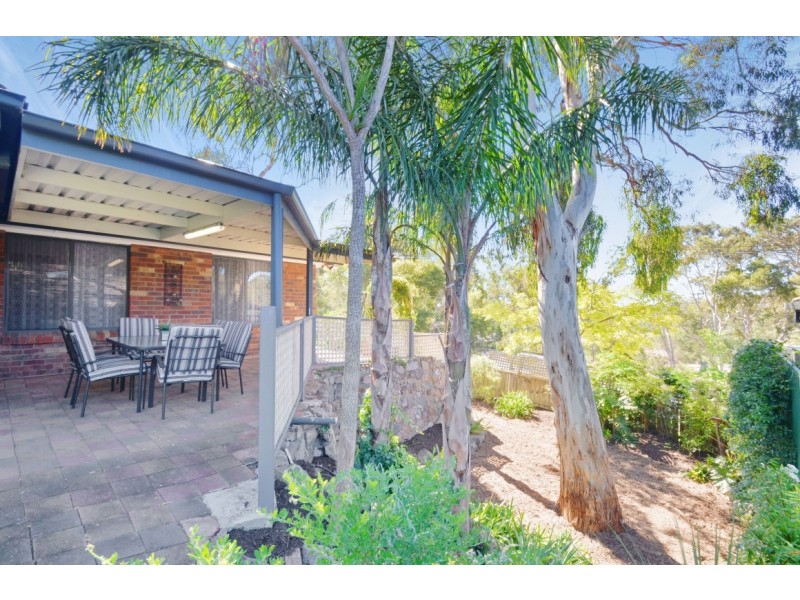 31 Dunalbyn Drive, Aberfoyle Park SA 5159