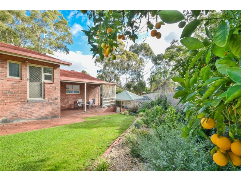 3 Swan Avenue, Happy Valley SA 5159