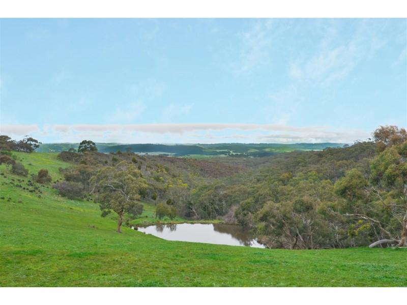 LOT 1 Mount Magnificent Road, Mount Magnificent SA 5210