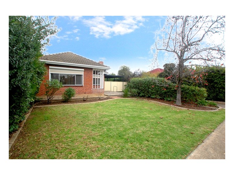 50 Woodlands Terrace, Edwardstown SA 5039
