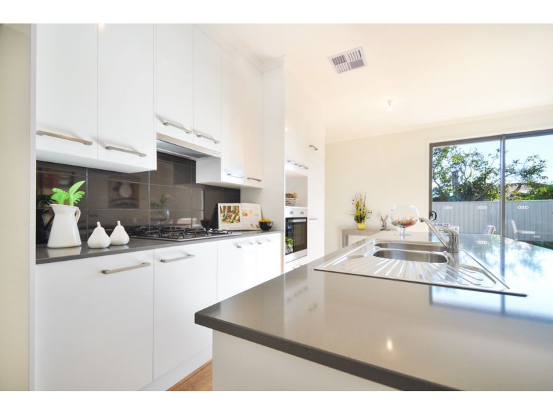 21 Allison Street, Ascot Park SA 5043