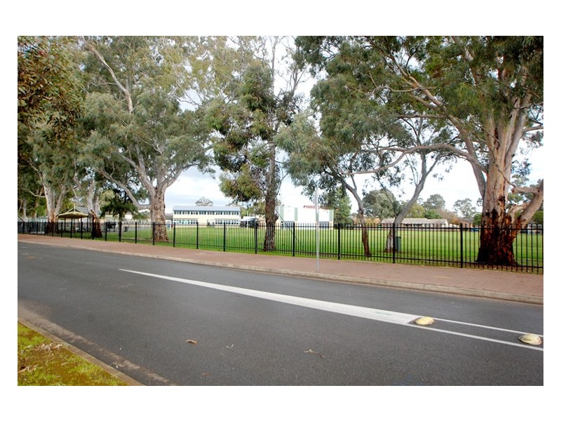 1 Farne Terrace, Marion SA 5043