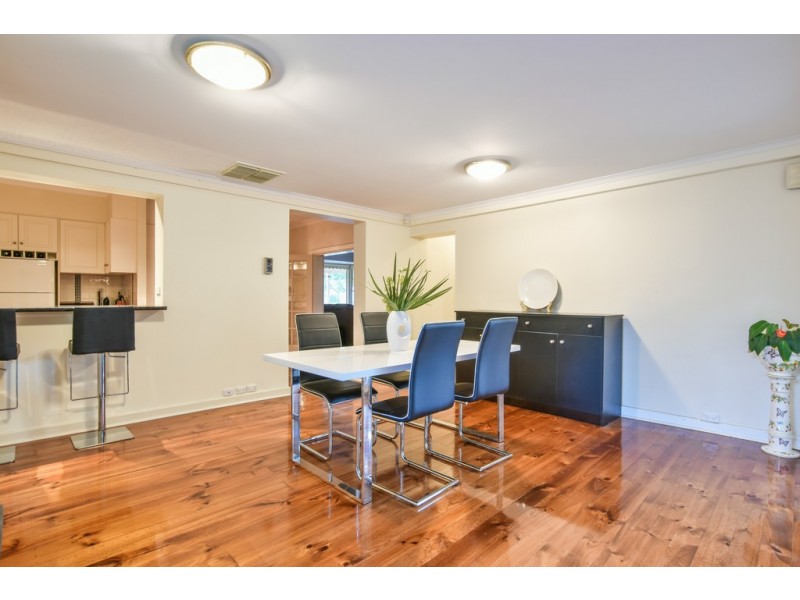 14 Carnarvon Avenue, Glenelg North SA 5045