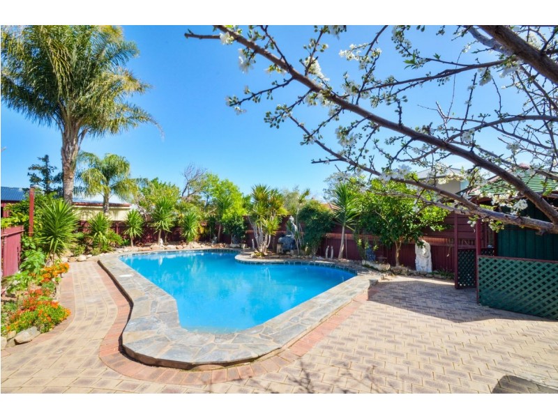 15 Minchinbury Terrace, Marion SA 5043