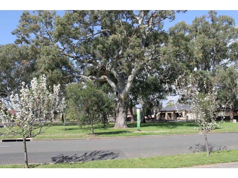 12 Melanto Terrace, Marion SA 5043