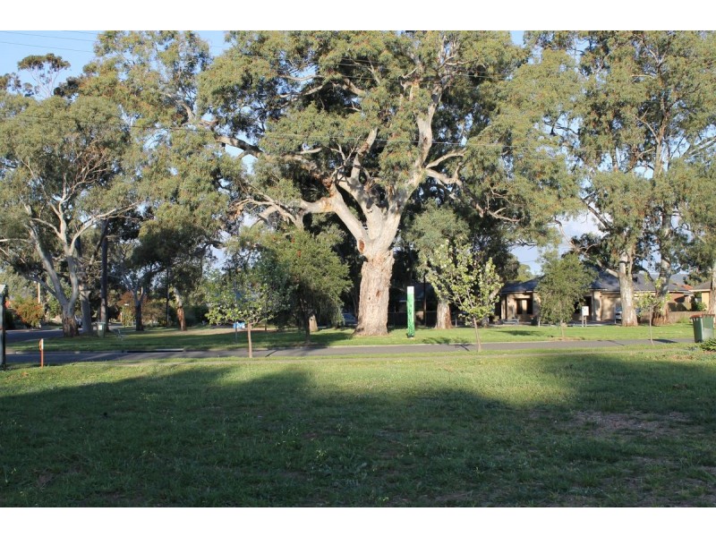 12 Melanto Terrace, Marion SA 5043