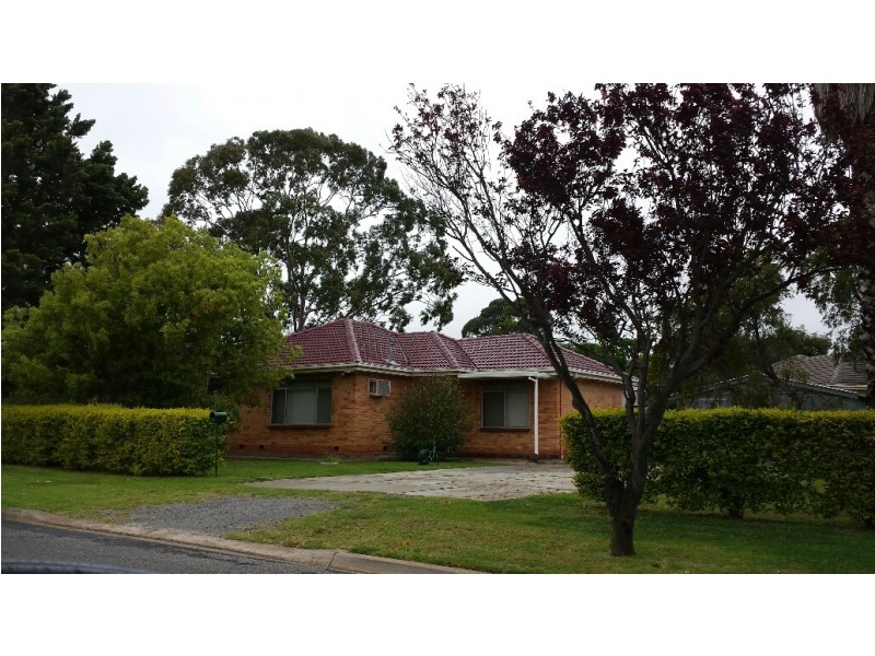 3 Grenache Avenue, Modbury SA 5092