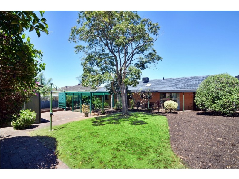 11 Glenda Avenue, Morphett Vale SA 5162