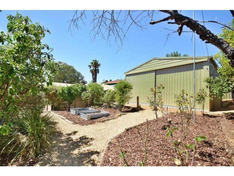 39 Woodswallow Drive, Happy Valley SA 5159