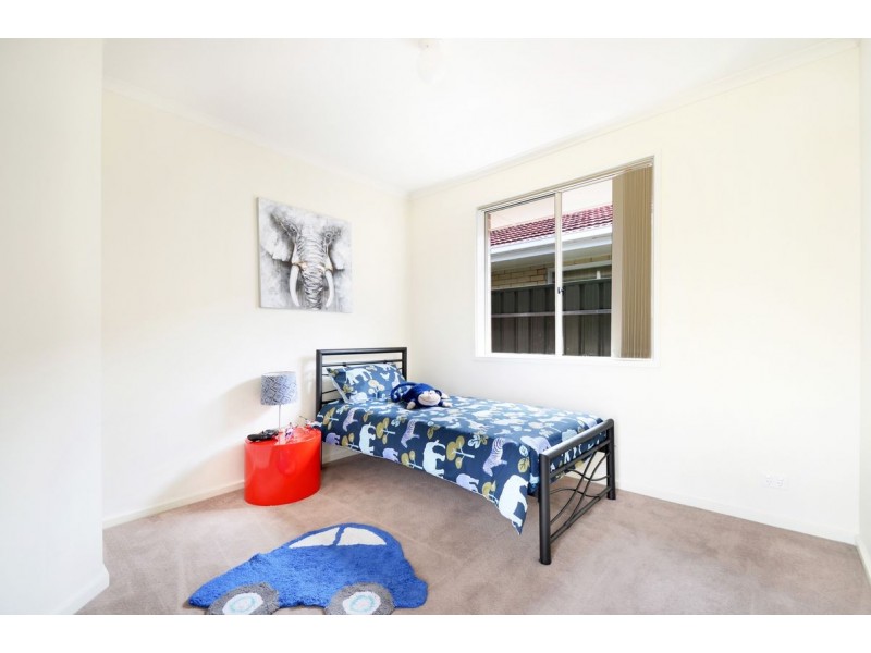 7 Albert Street, Ascot Park SA 5043