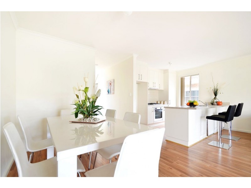 7 Albert Street, Ascot Park SA 5043