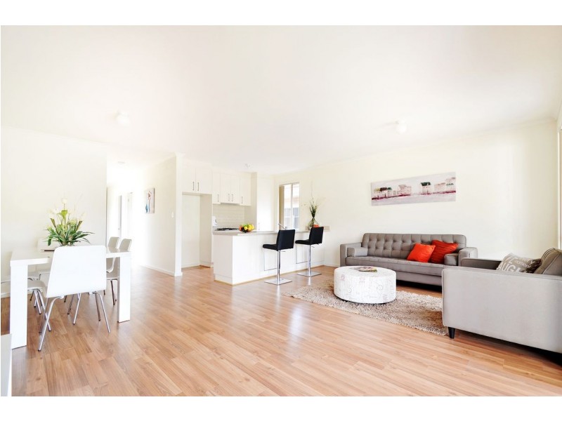 7 Albert Street, Ascot Park SA 5043